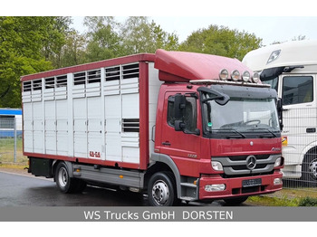 Transporte de ganado camión MERCEDES-BENZ Atego