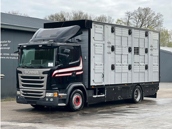 Transporte de ganado camión SCANIA G 360