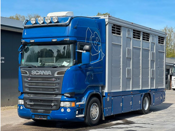 Transporte de ganado camión SCANIA R 520