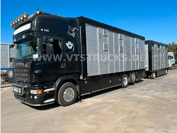 Transporte de ganado camión SCANIA R 730