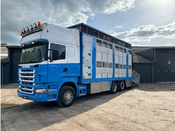 Transporte de ganado camión SCANIA R 420