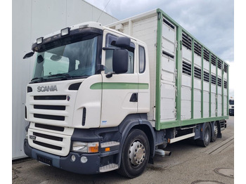 Transporte de ganado camión SCANIA R 420