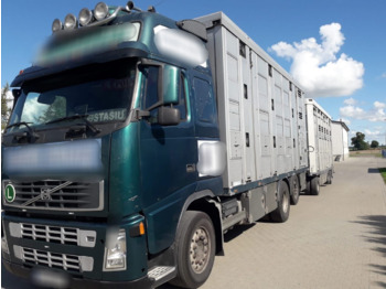 Transporte de ganado camión VOLVO FH12