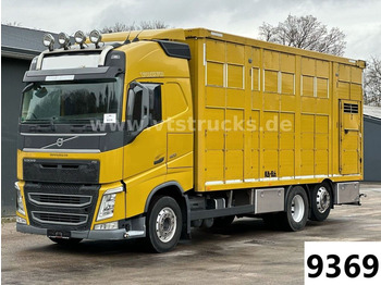 Transporte de ganado camión VOLVO FH 420