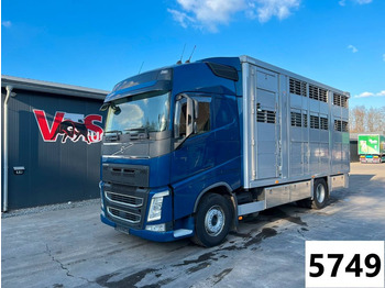 Transporte de ganado camión VOLVO FH 500