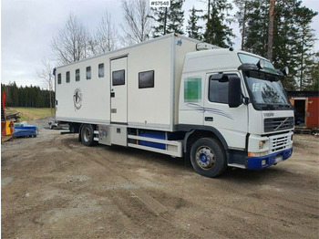 Transporte de ganado camión VOLVO FM7