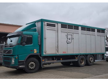 Transporte de ganado camión VOLVO FM