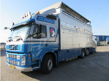 Transporte de ganado camión VOLVO FM9
