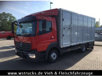 Furgoneta para transporte de animales Mercedes-Benz 821L" Neu" WST Edition" Menke Einstock Vollalu: foto 1