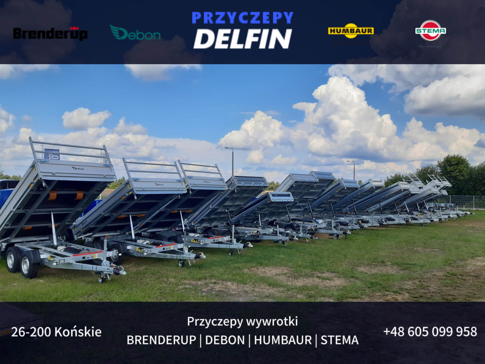 ZPHU DELFIN Gruszkiewicz Andrzej undefined: foto 2