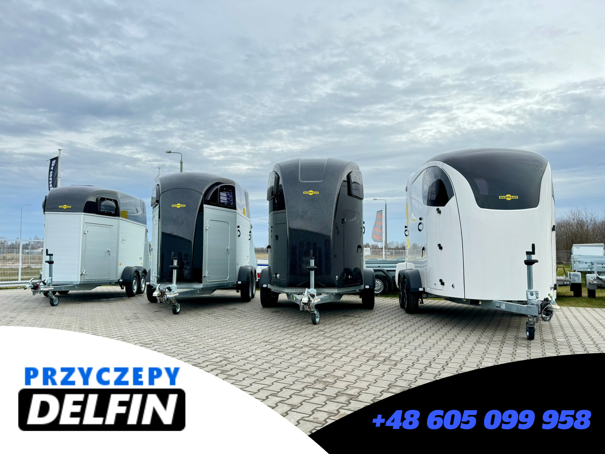 ZPHU DELFIN Gruszkiewicz Andrzej undefined: foto 4