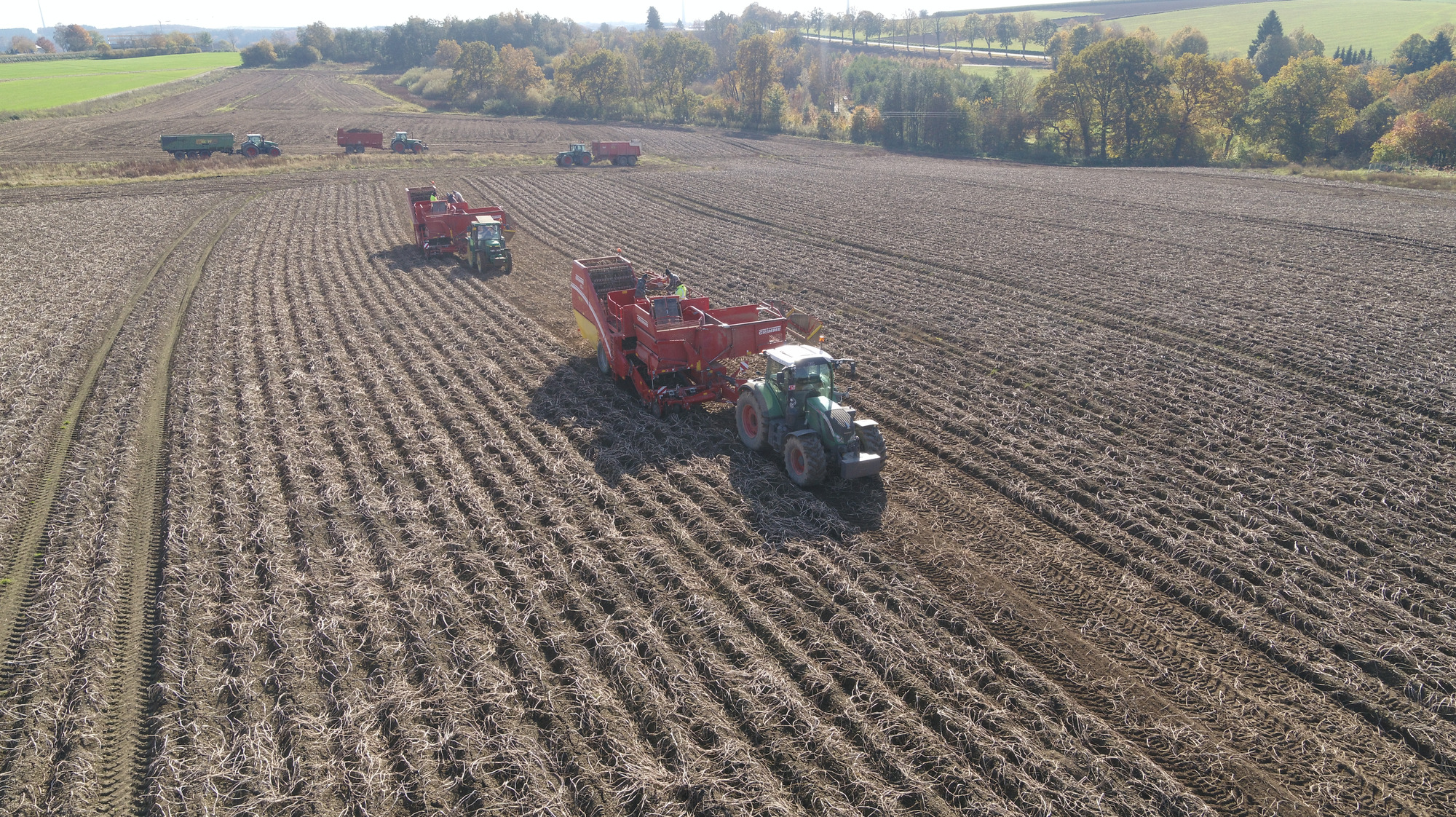 J.Reiff s. á r.l. undefined: foto 32