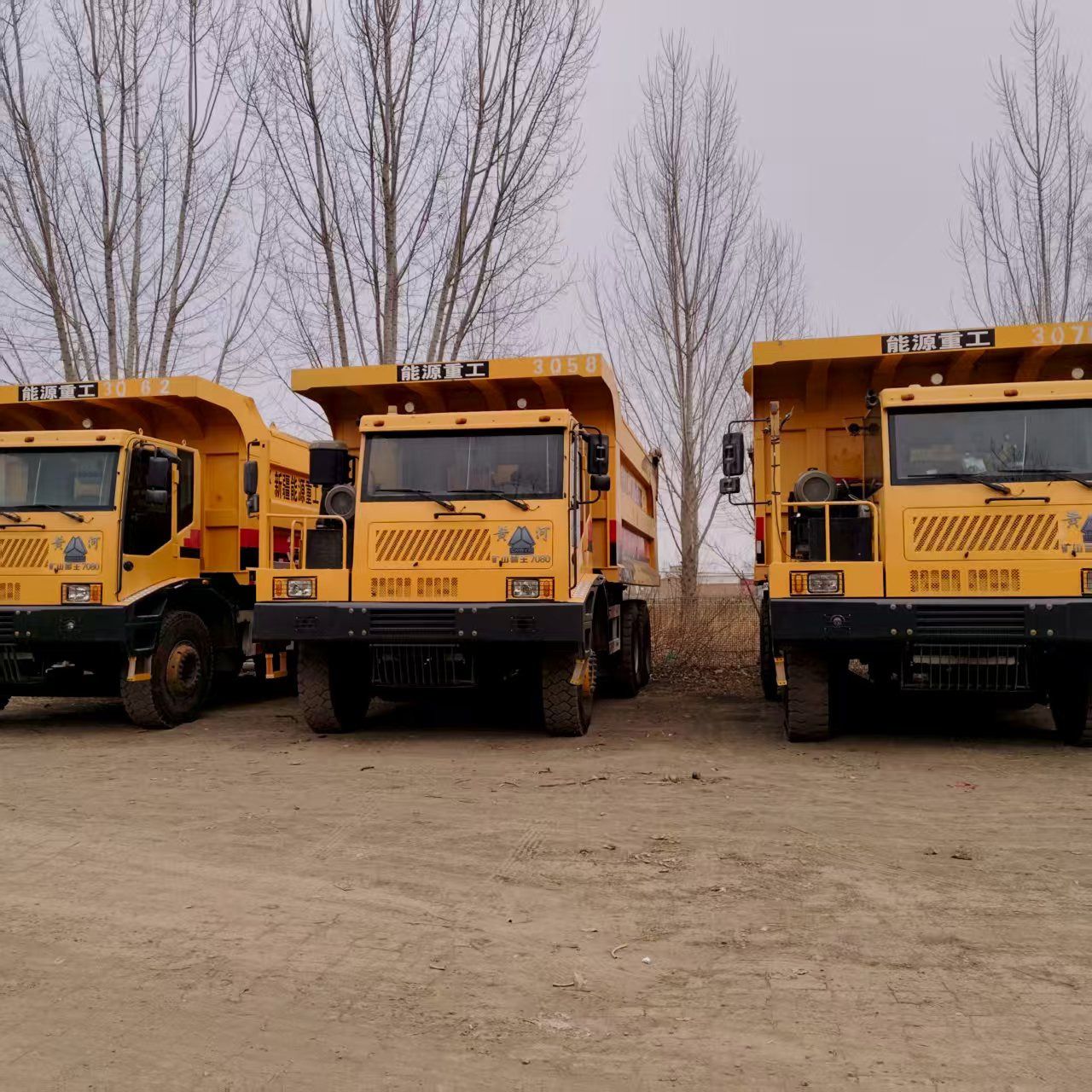 SHANGHAI XUANXIN MACHINERY Co.,LTD - Maquinaria de construcción XCMG ZL50 - Año: 2024 undefined: foto 44
