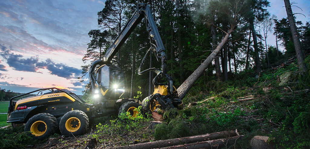 Tractoaredepadure.ro undefined: foto 2