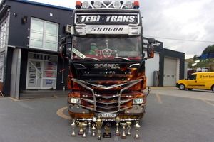 Tedi-trans