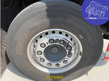Cabeza tractora DAF XF 105 480: foto 3