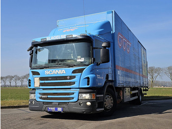 Camión caja cerrada SCANIA P 250