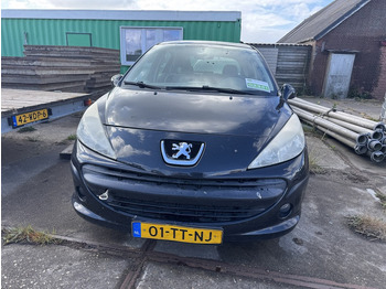 Coche Peugeot 207: foto 2 Coche Peugeot 207: foto 2