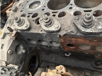 Bloque de cilindros para Maquinaria agrícola Deutz Fahr Merlo 04289542 10670424 Blok Silnika BF4M2012 TCD 2012 L04 4V: foto 2