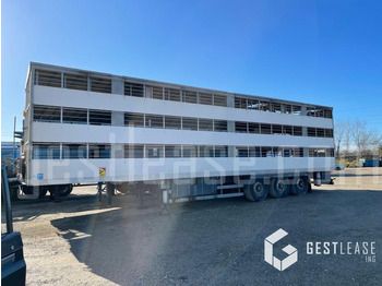 Transporte de ganado semirremolque SAMRO