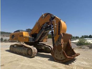 Excavadora de cadenas Liebherr R976 HD: foto 4