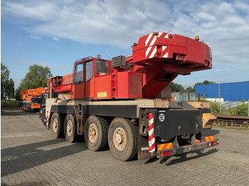 Grúa todo terreno Terex Demag AC80-1: foto 2