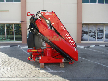 Grúa para camión para Camión nuevo Fassi F295A.2.24 Crane: foto 3