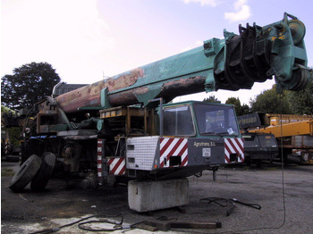 Grúa todo terreno TEREX