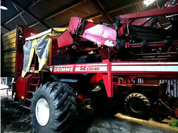 Cosechadora Grimme SE 170-60-UB XXL: foto 3