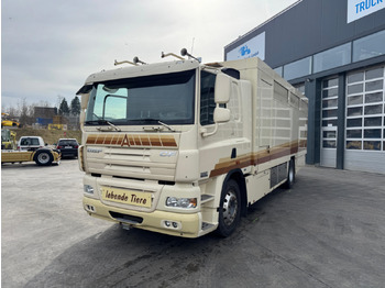 Transporte de ganado camión DAF CF 410