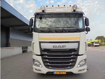 Cabeza tractora DAF XF 460: foto 2