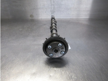 Motor y piezas para Camión Mercedes-Benz A 934 050 00 01 // A 934 050 06 01 // A 934 050 14 01 NOKKENAS 1221 EURO 6: foto 2