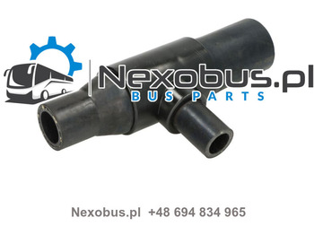 : imagen de cabecera