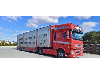 Transporte de ganado semirremolque PEZZAIOLI