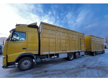 Transporte de ganado camión VOLVO FH 420