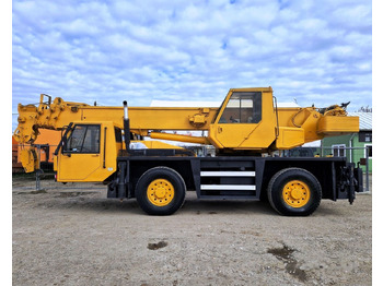 Autogrúa TEREX