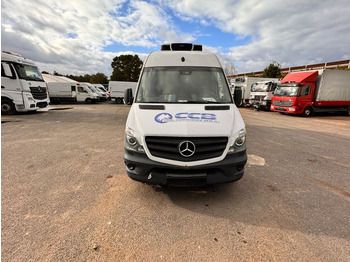 Frigorífico furgoneta MERCEDES-BENZ Sprinter 316