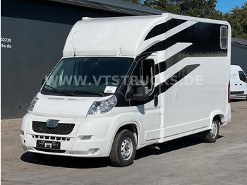 Camión para caballos Peugeot Boxer 250 L 2.Pferdetransporter: foto 1