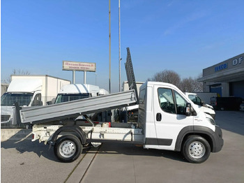 Volquete furgoneta FIAT DUCATO MAXI L2: foto 2