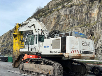 Excavadora de cadenas LIEBHERR