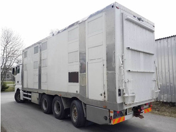 Transporte de ganado camión MAN TGX 35.540 8X4 TRIDEM ANIMAL: foto 2 Transporte de ganado camión MAN TGX 35.540 8X4 TRIDEM ANIMAL: foto 2