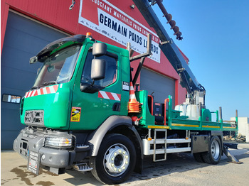 Camión grúa RENAULT D250: foto 5