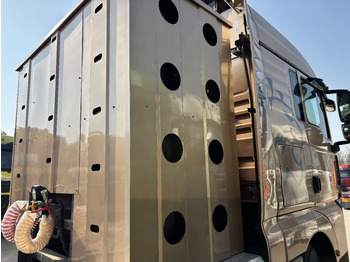 Cabeza tractora SITRAK C7H: foto 2 Cabeza tractora SITRAK C7H: foto 2