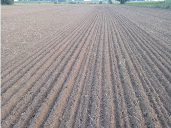Equipo para trabajo del suelo Lemken Karat 9/500 agregat bezorkowy: foto 2