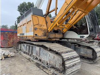Grúa sobre orugas LIEBHERR