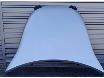Aerodinámica/ Spoiler RENAULT T