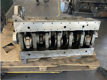 Motor para Maquinaria industrial Deutz TCD 2012 L06 2V  remanufactured short engine: foto 5