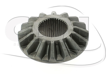 : imagen de cabecera