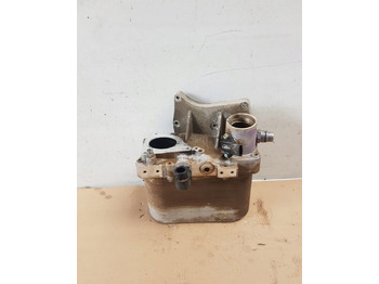 : imagen de cabecera