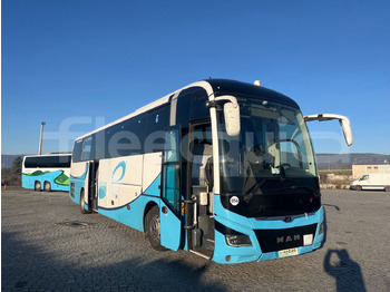 Autocar MAN Lion's Coach
